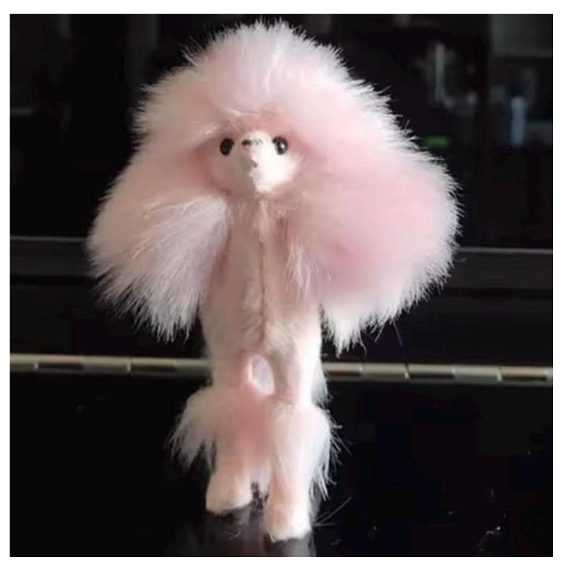 Poodle Pet for 11.5 inch Fashion Dolls Pink or White Faux Fur, 1:6 scale